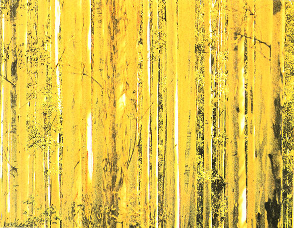 Forgotten Indie: Volume&nbsp;Four